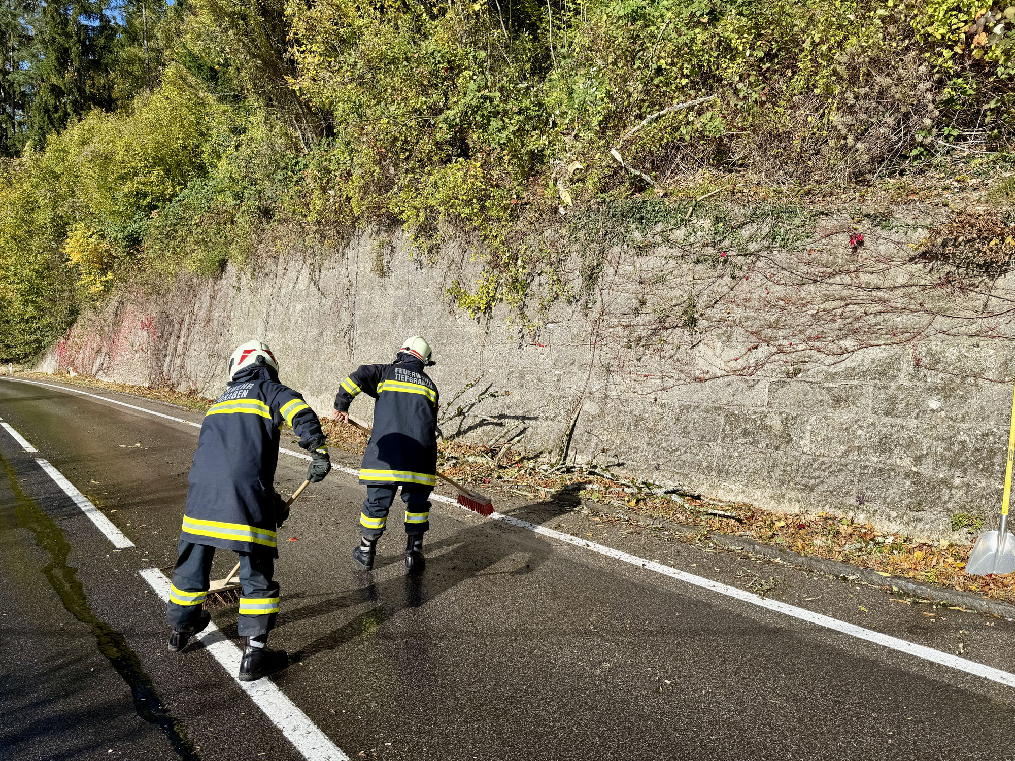 Tiefgraben: Baum über Straße - B151