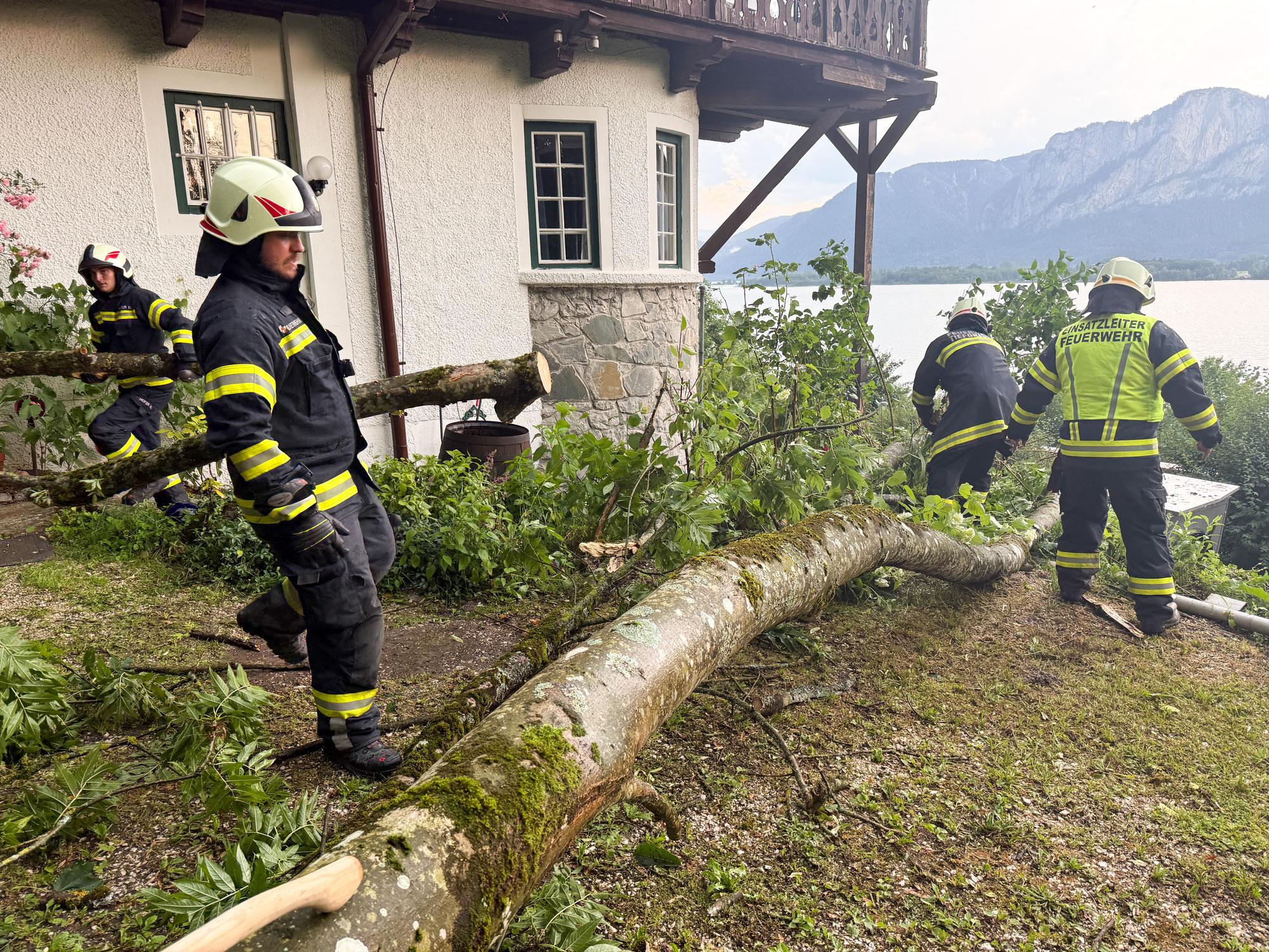 Tiefgraben: Baum stürzt knapp neben Wohnhaus