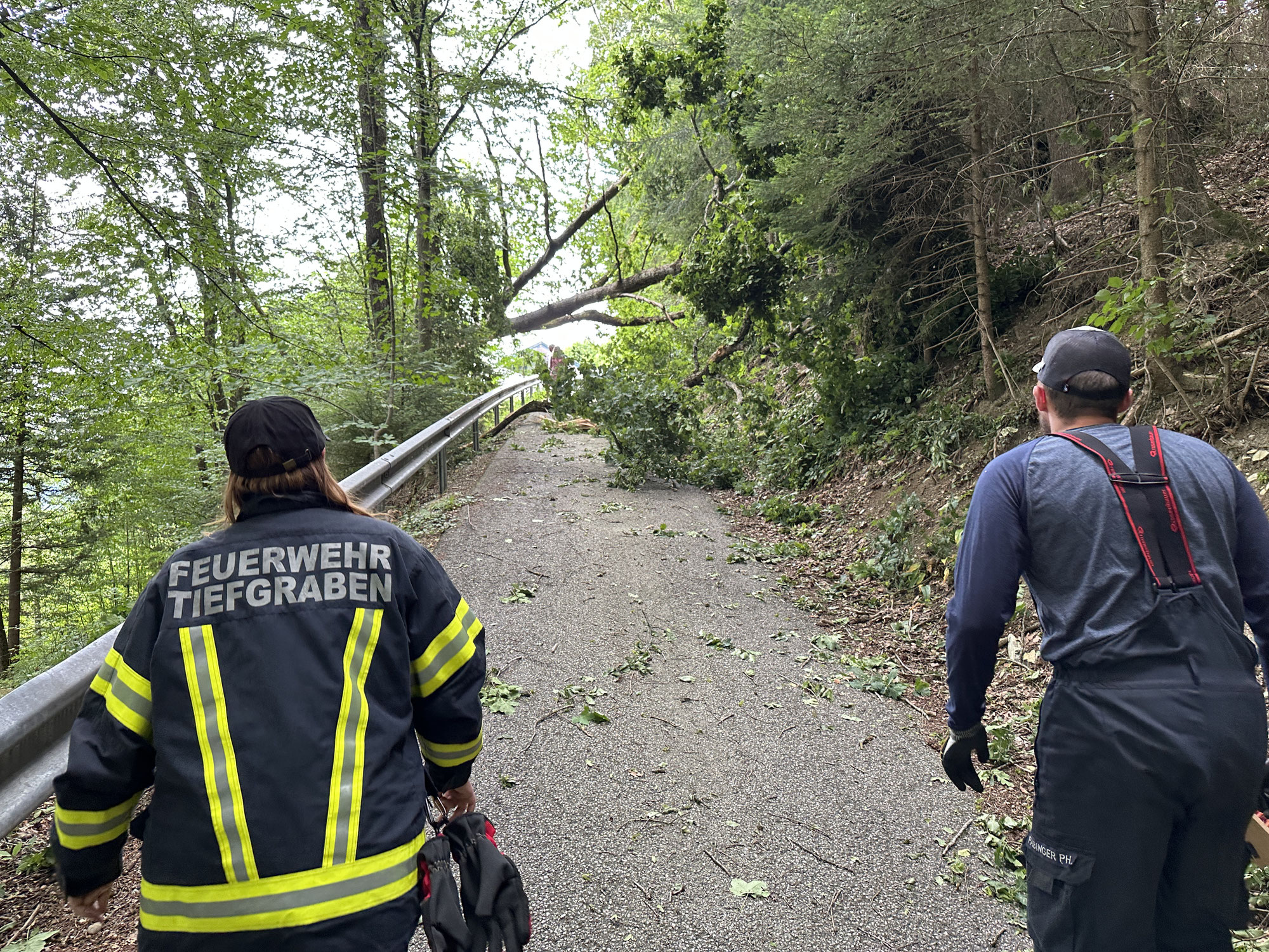 Tiefgraben: Sturmschaden – Baum über Straße