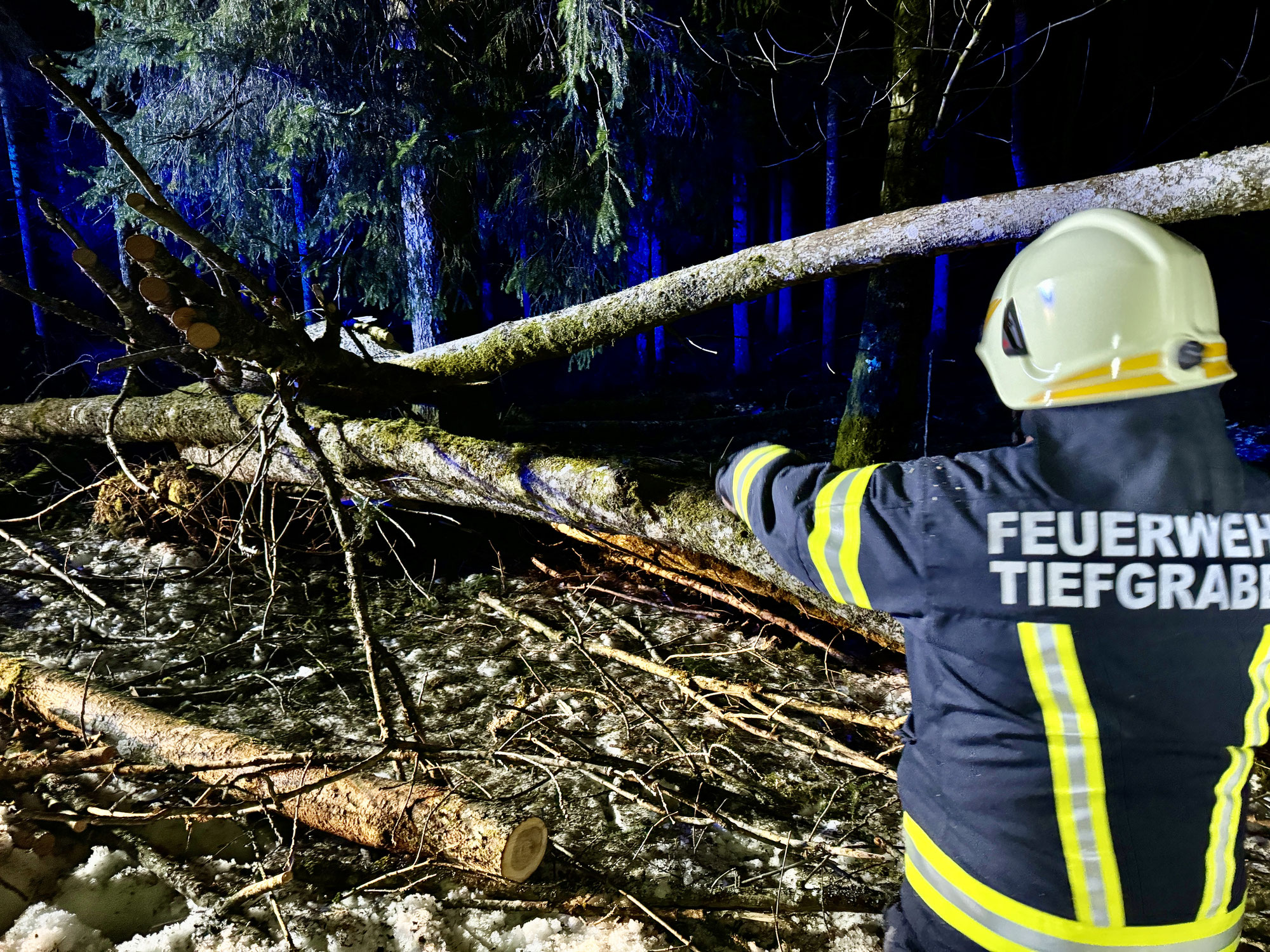 Tiefgraben: Sturmschaden – 3 Bäume über Straße