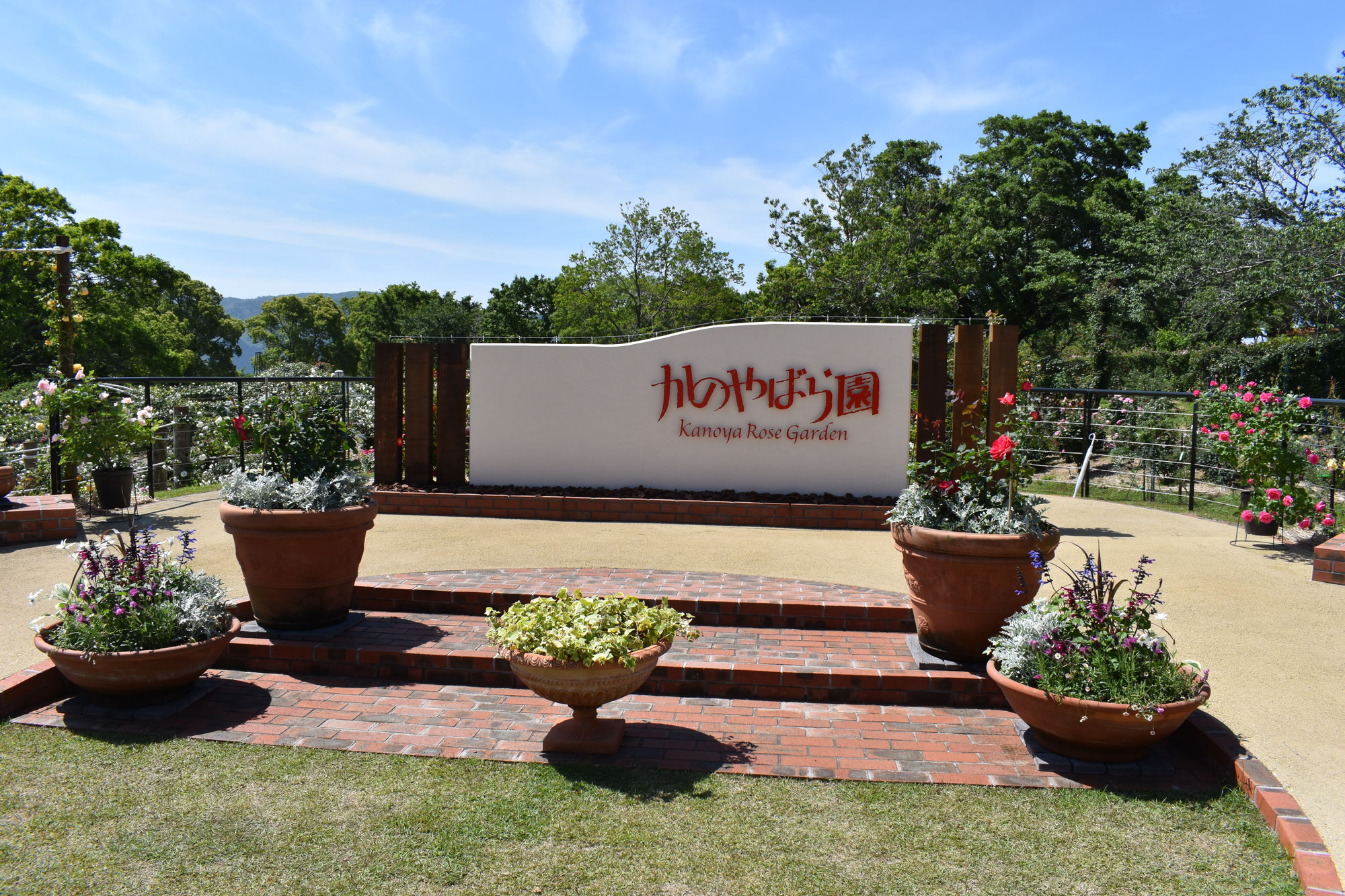 かのやバラ園のフォトギャラリー
