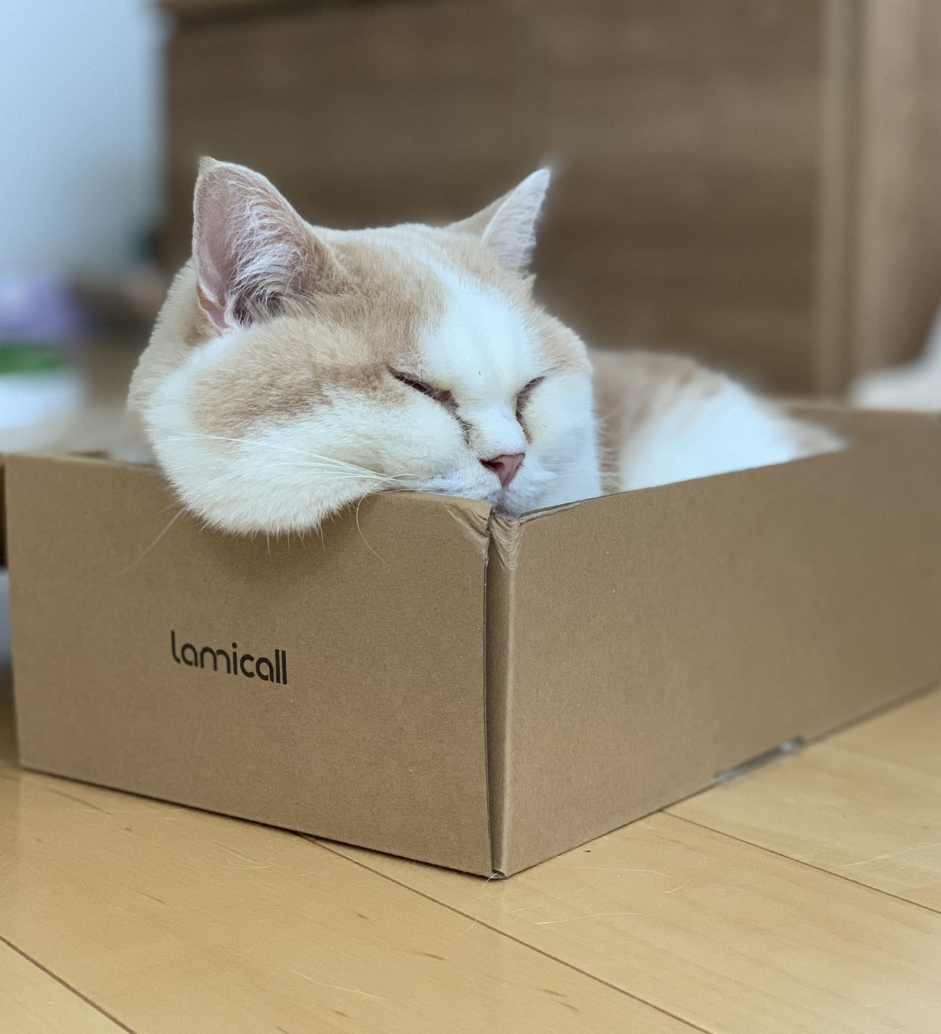 お客様からのご注文
