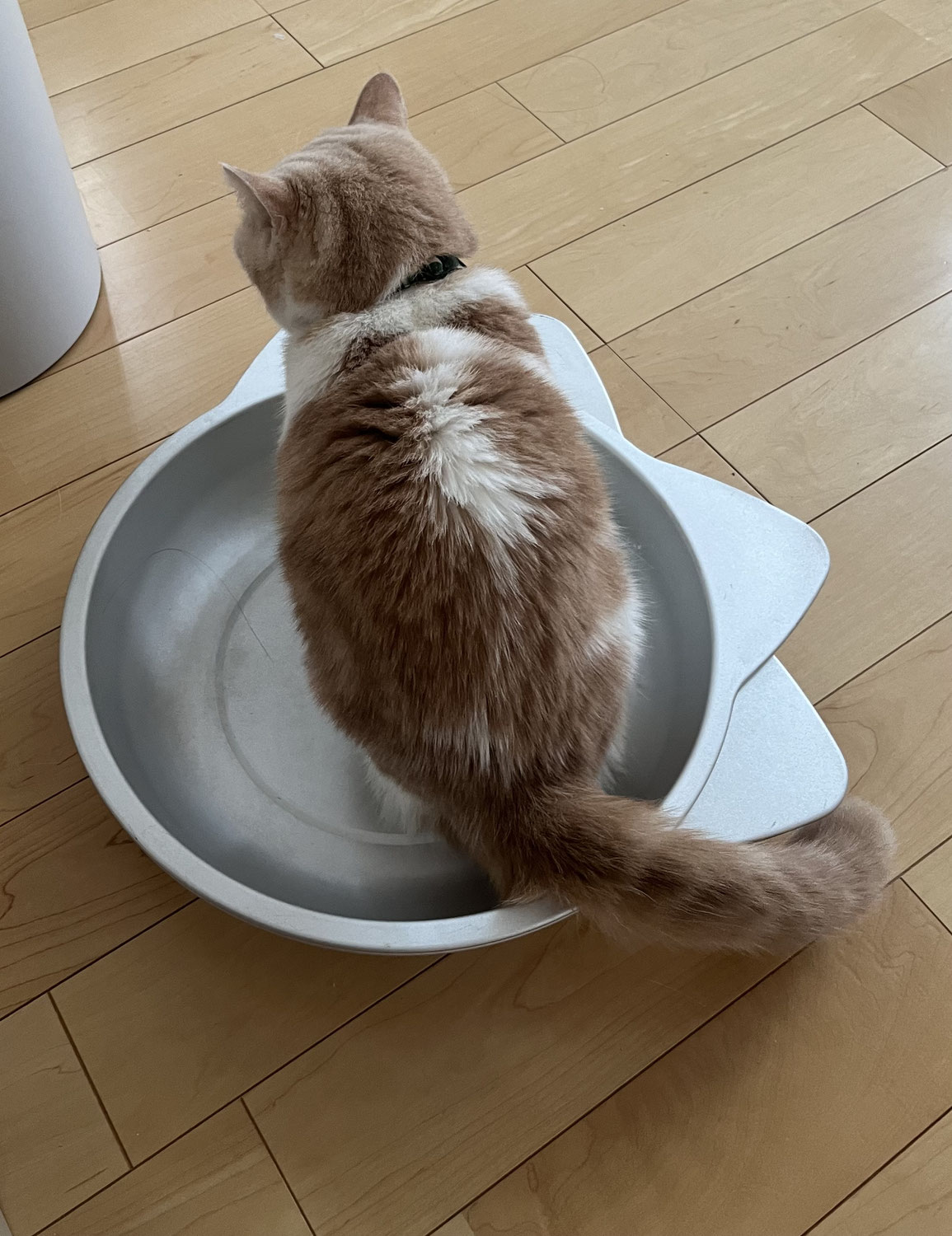 オープンから2カ月