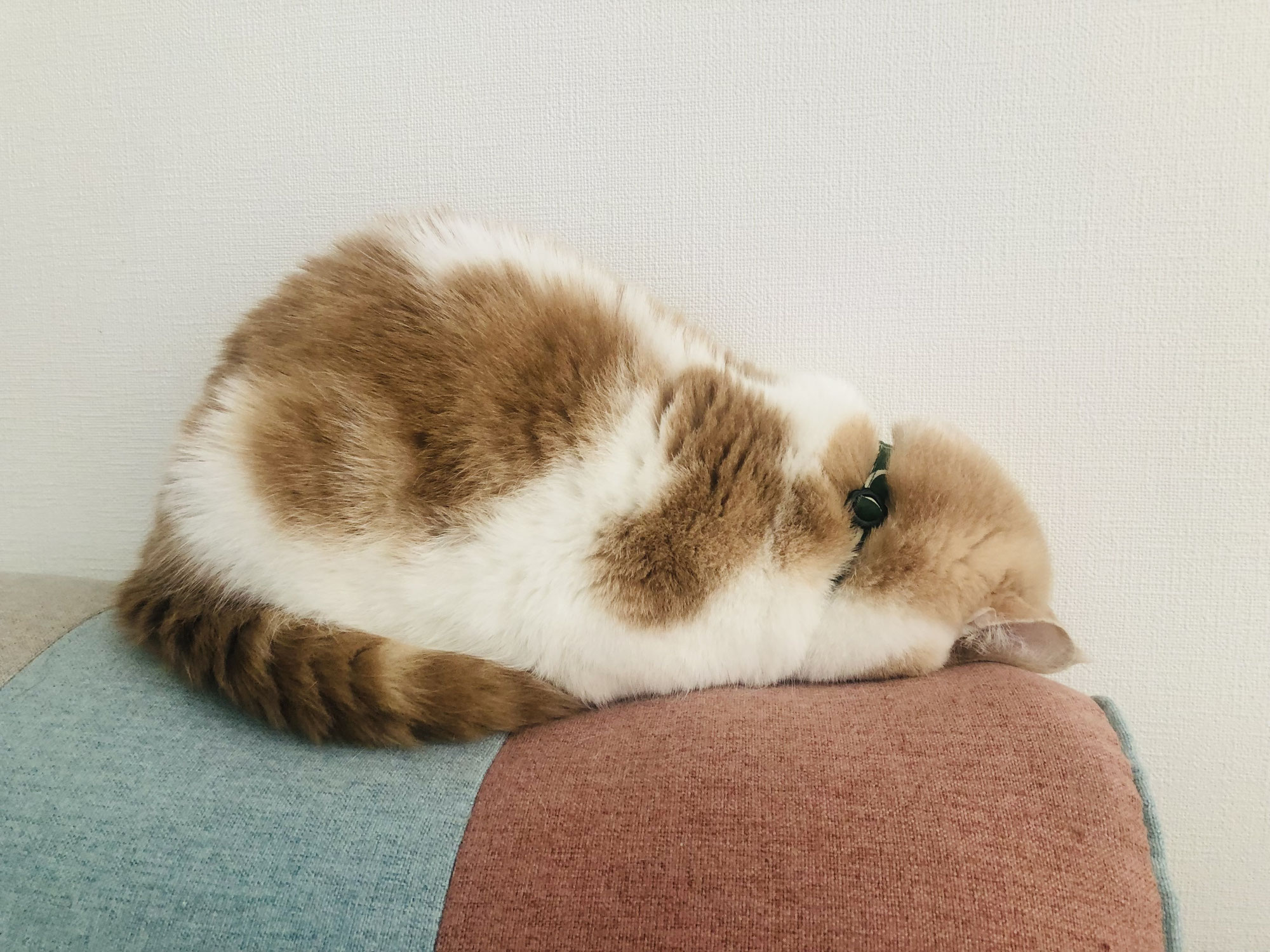 眼鏡を掛けると度が進む！？