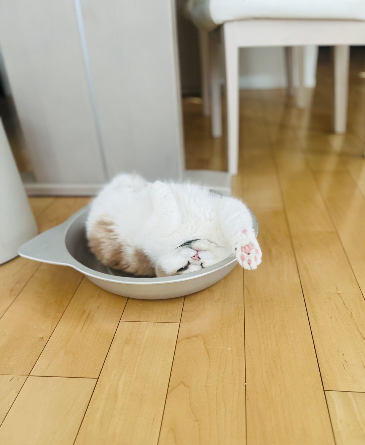 眼鏡を掛け始めるタイミング