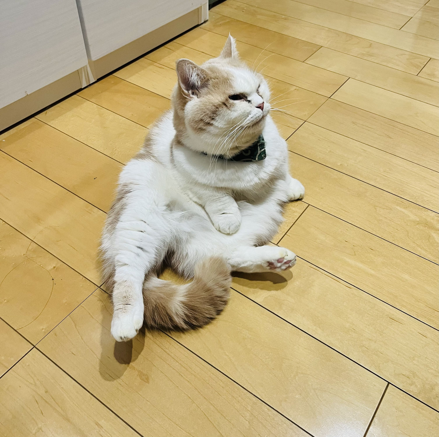 他覚的検査とは？