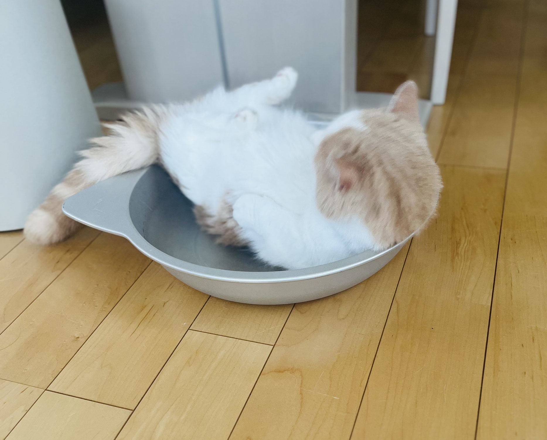GW期間中の営業について