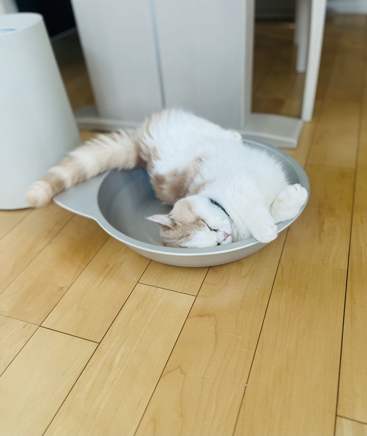 イエローカットレンズ