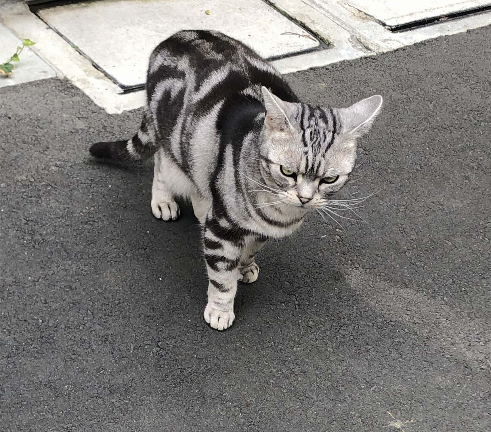 ほどほどで