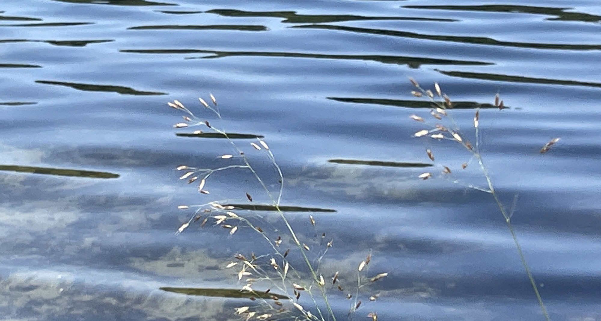 Kraft Tanken im Sommer