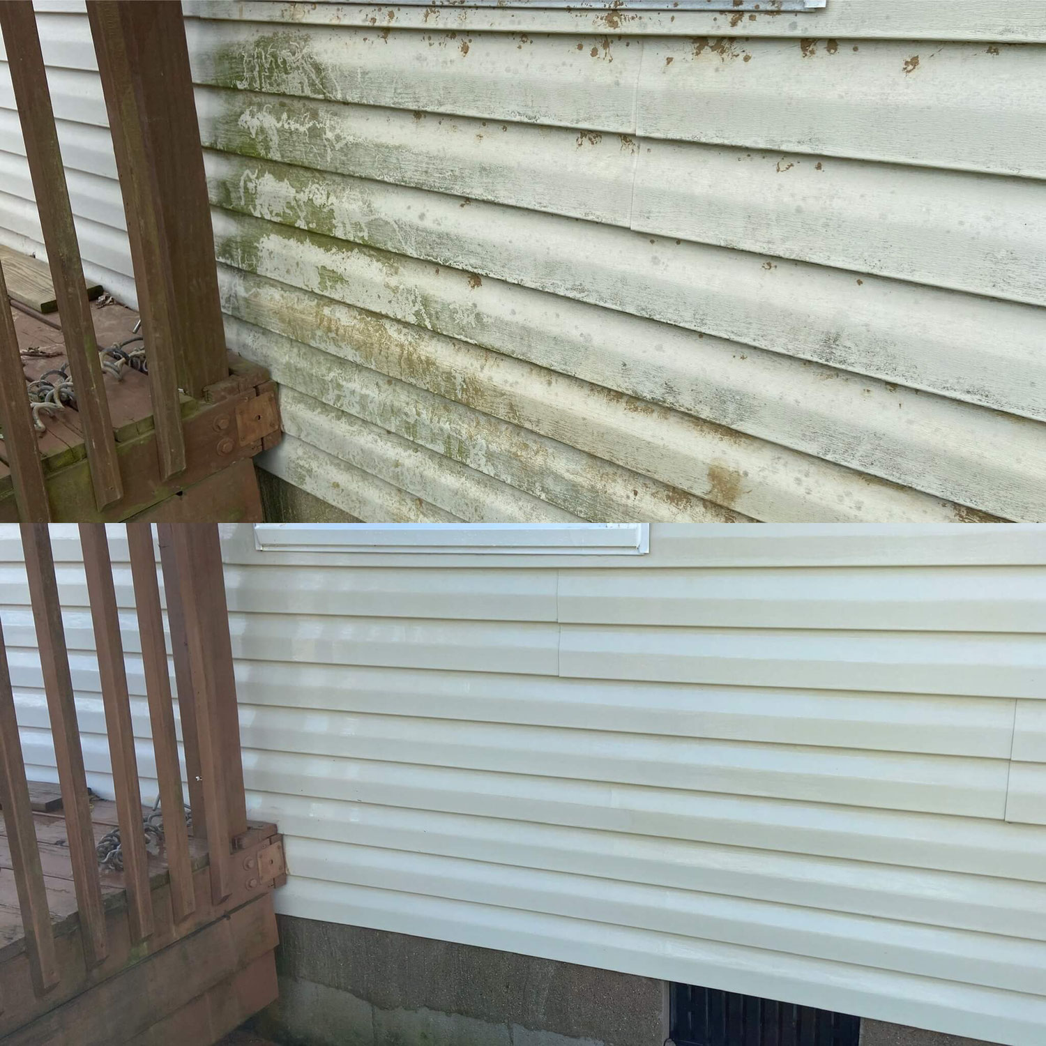 Why Clean Your Siding?