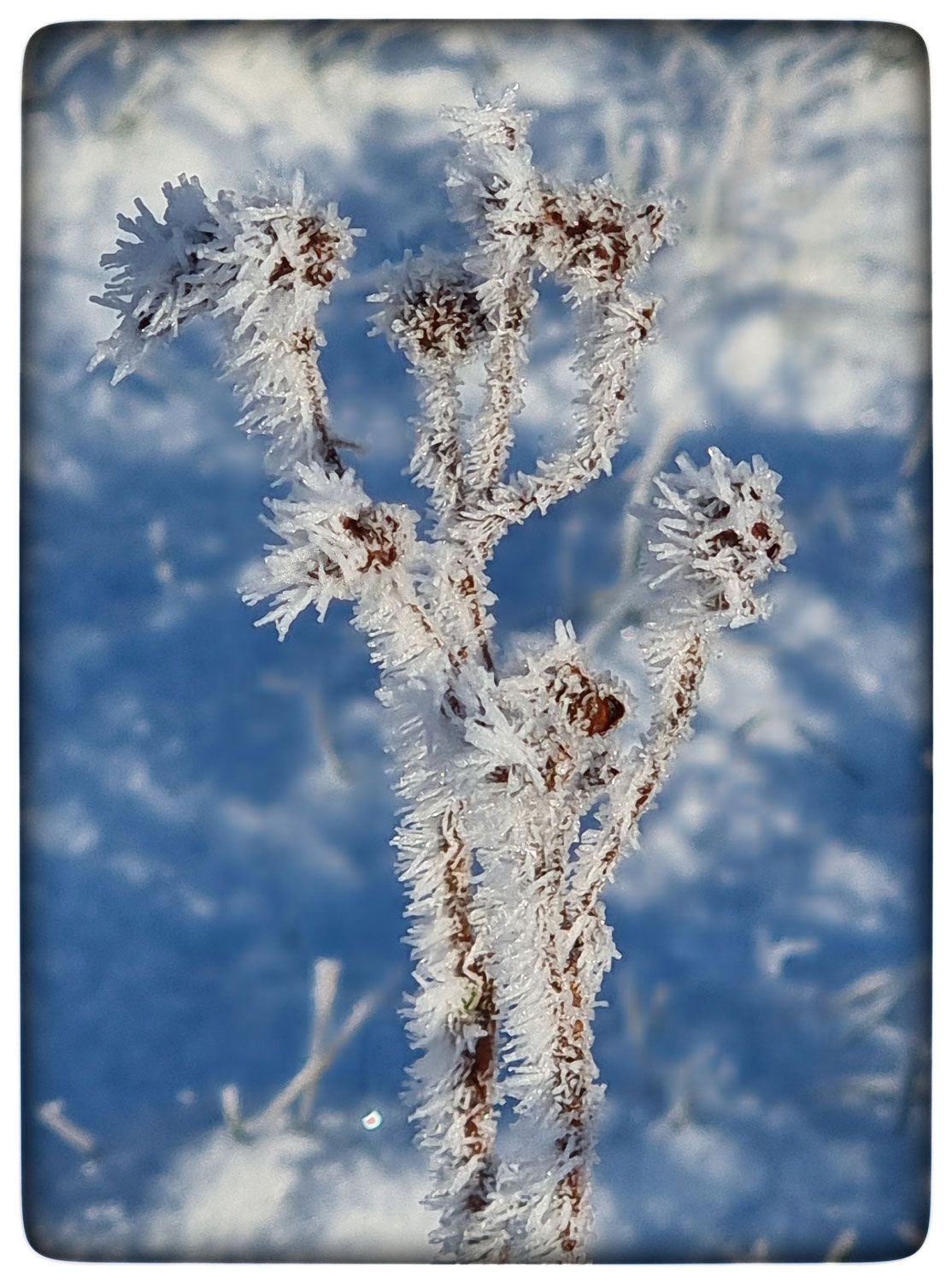 Väterchen Frost