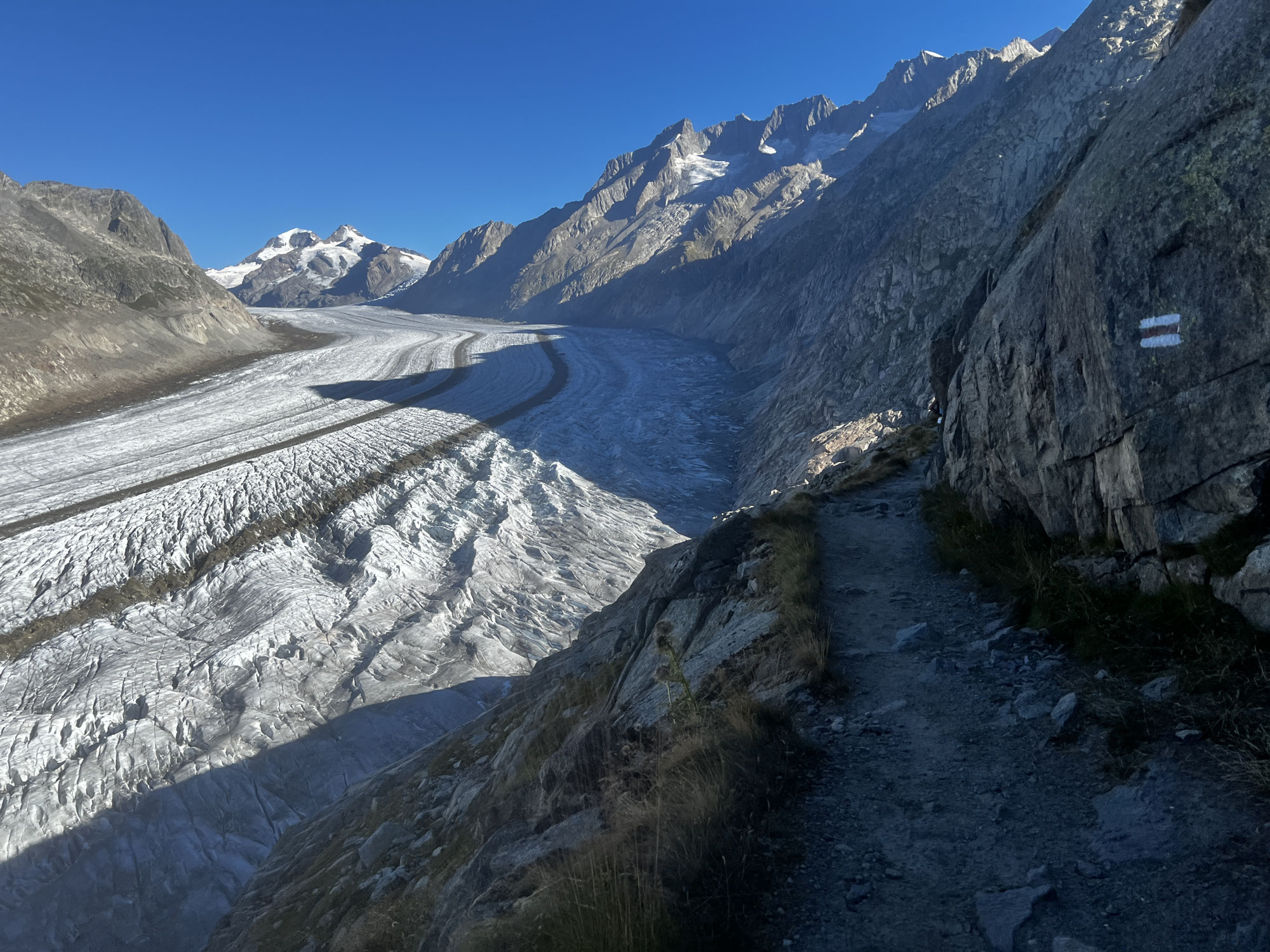Swiss Alps 100