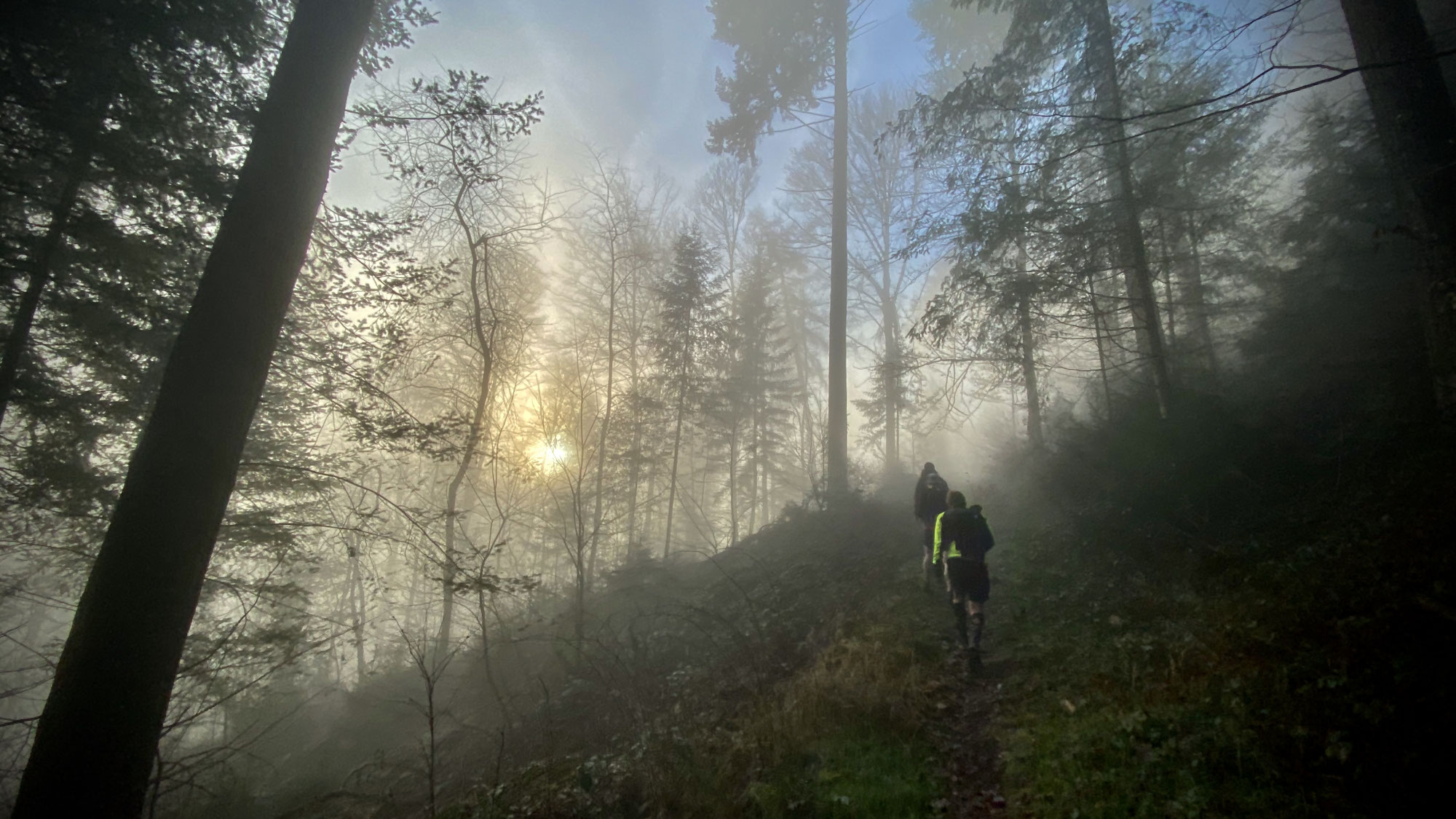 Jokertrail 2020 in Heidelberg