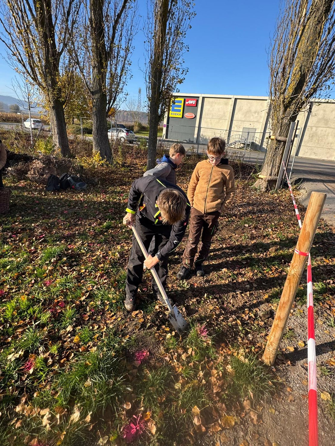 Pflanzaktion am "Blumenzwiebel-Tag"