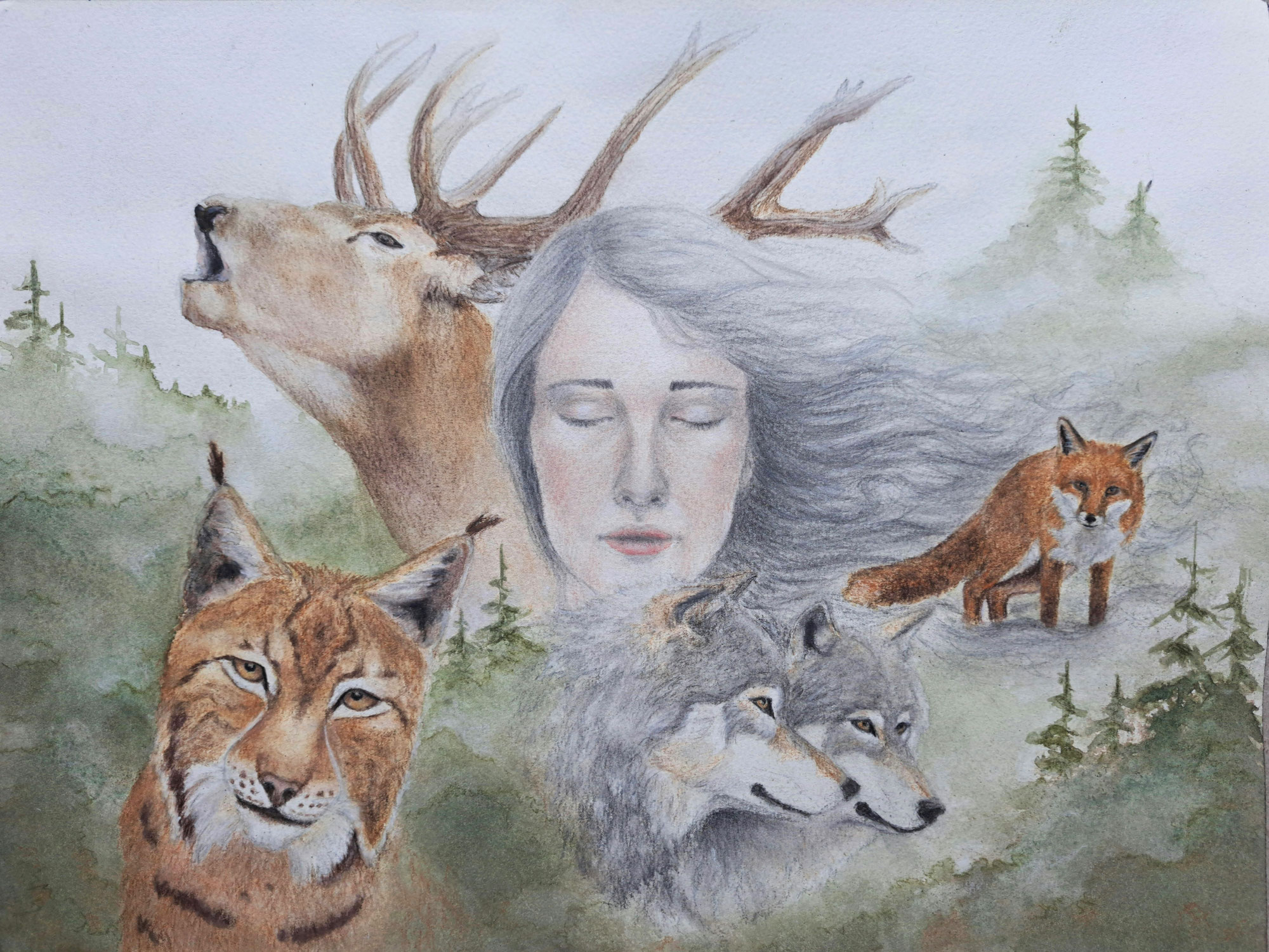 Newsletter "s'enforester"