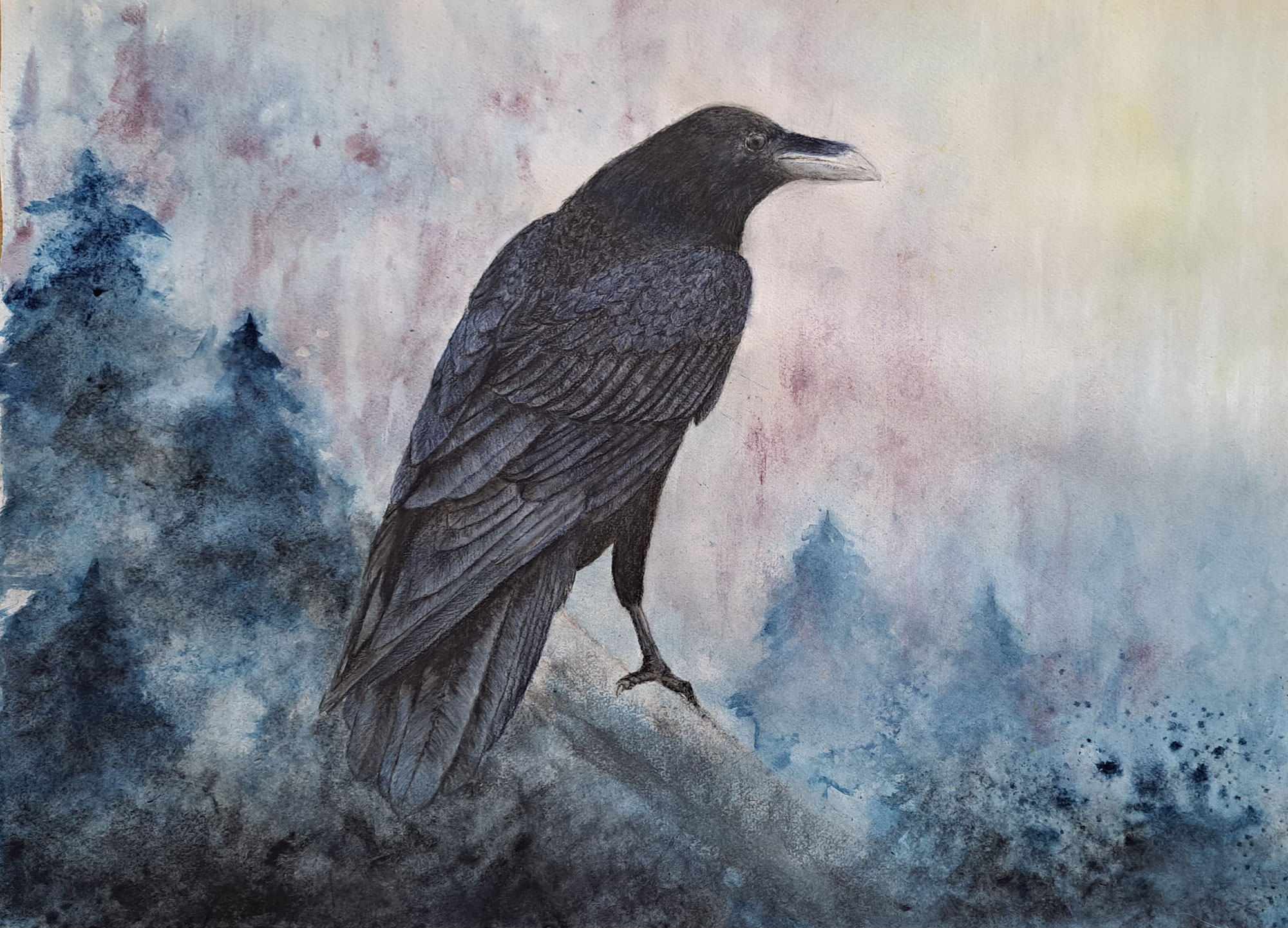 Maitre corbeau