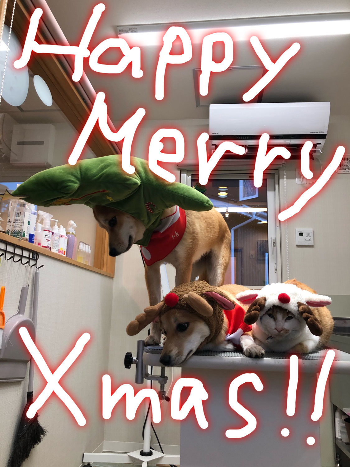 メリークリスマス！