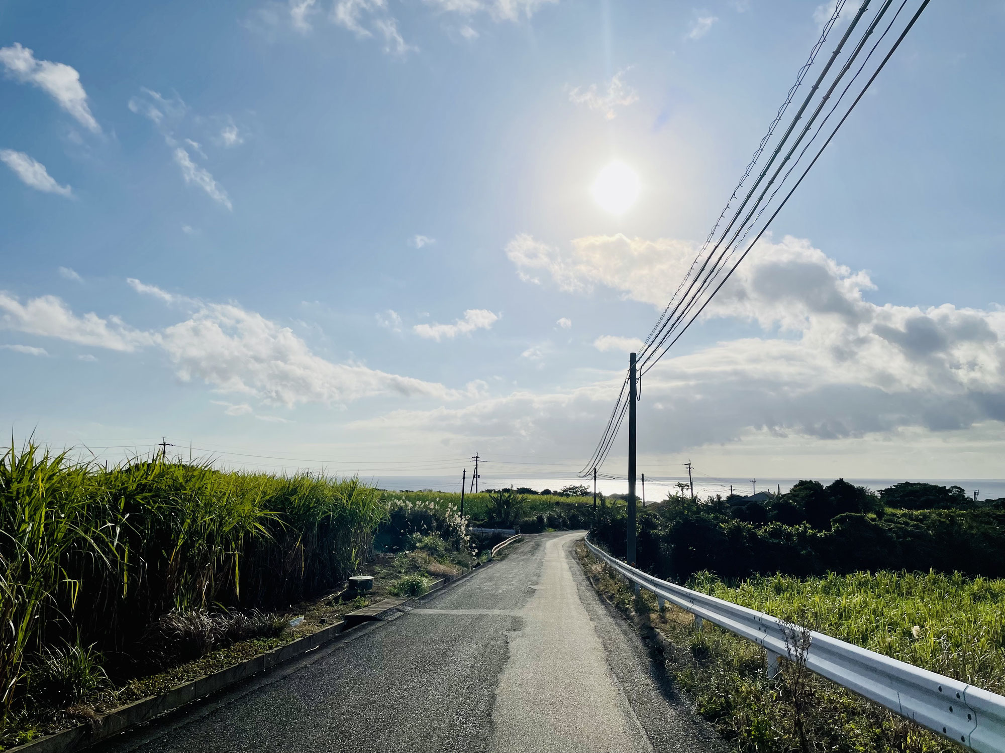 初めての徳之島