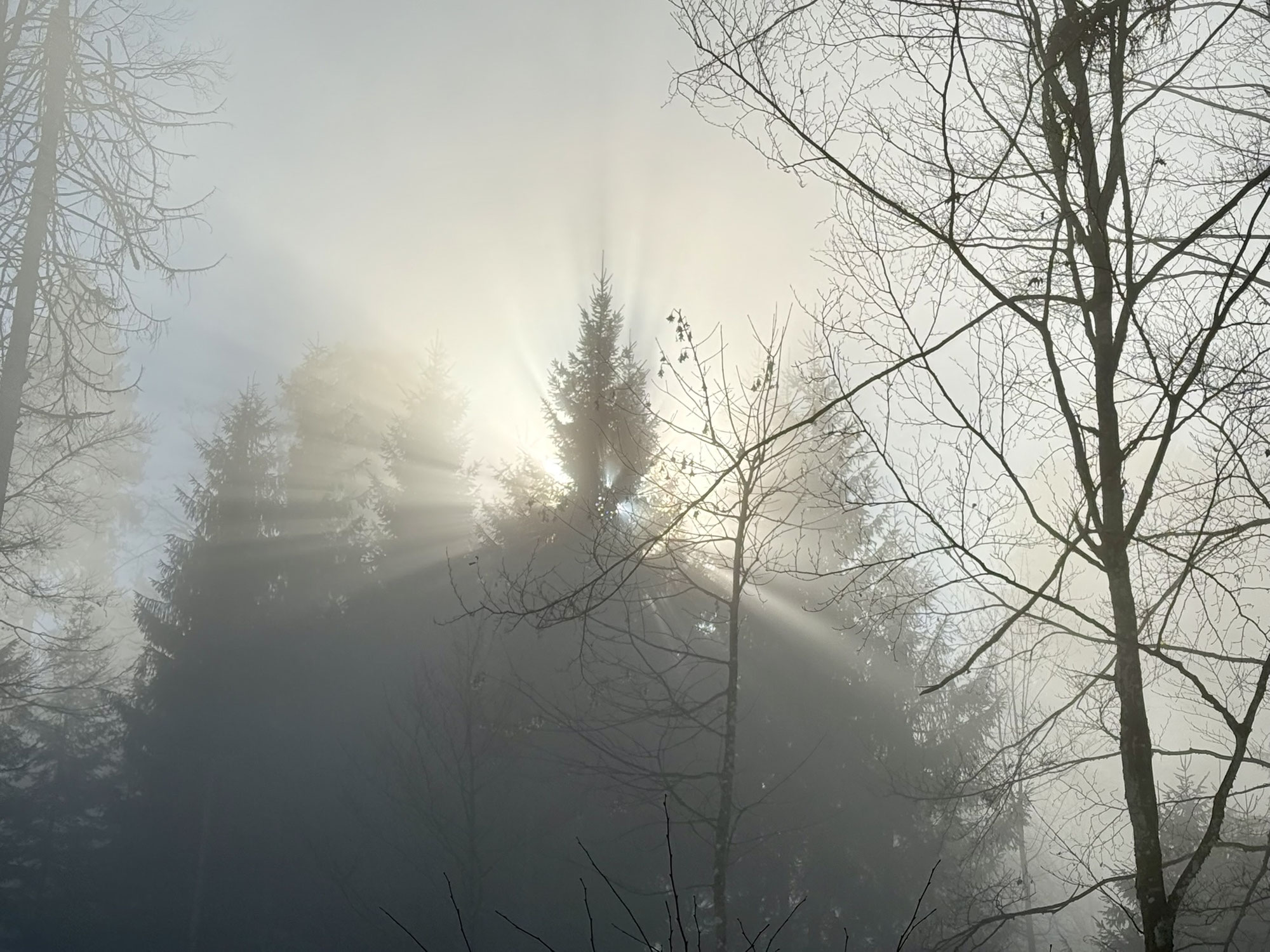 Bachtelspalt :: Winter- Wanderung