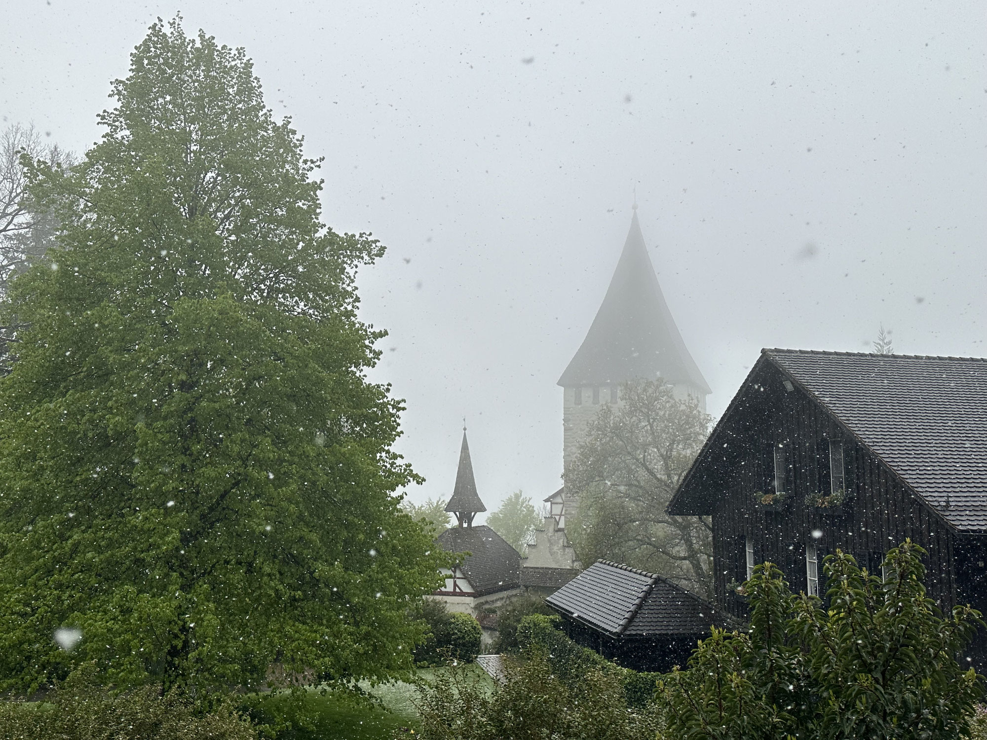 Ottoberg - im Schneesturm