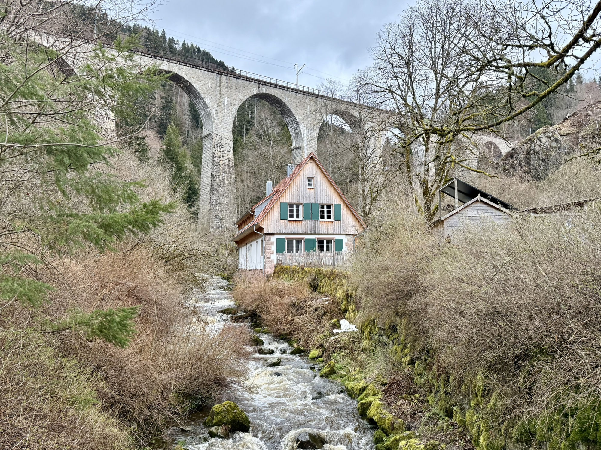 Schwarzwald :: Ravennaschlucht