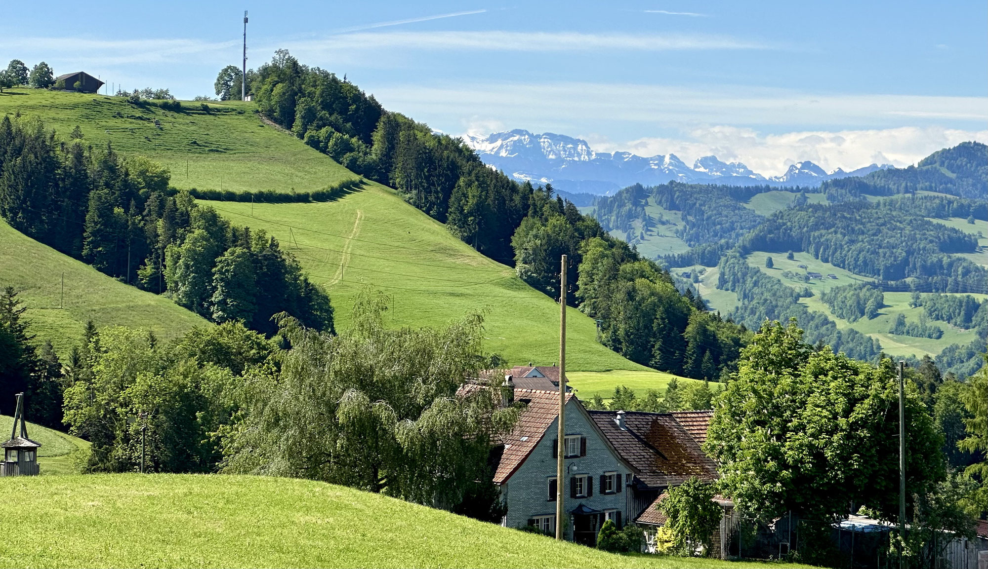 Pfingst- Montag