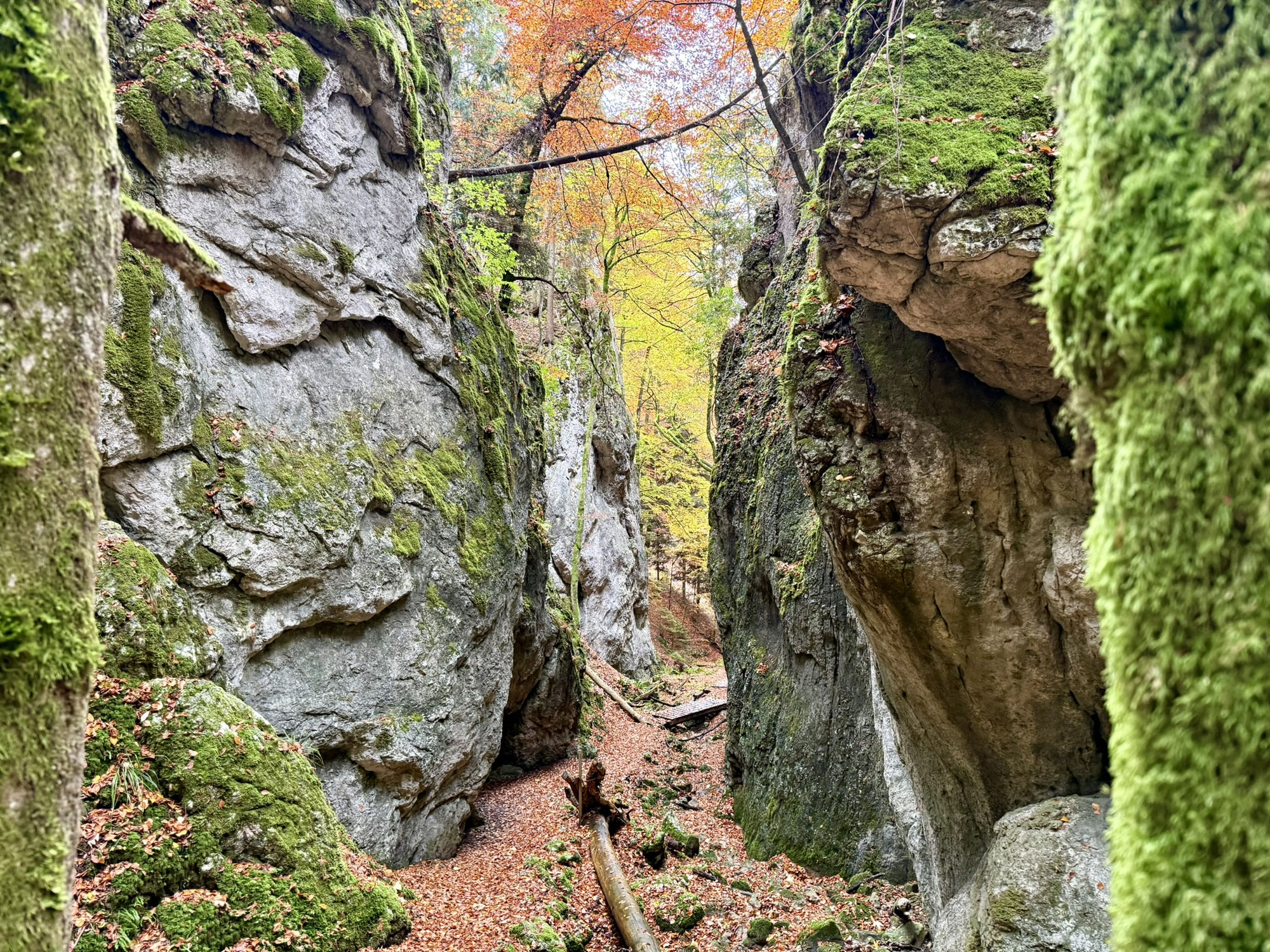 Wolfsschlucht - Kurzferien :-)