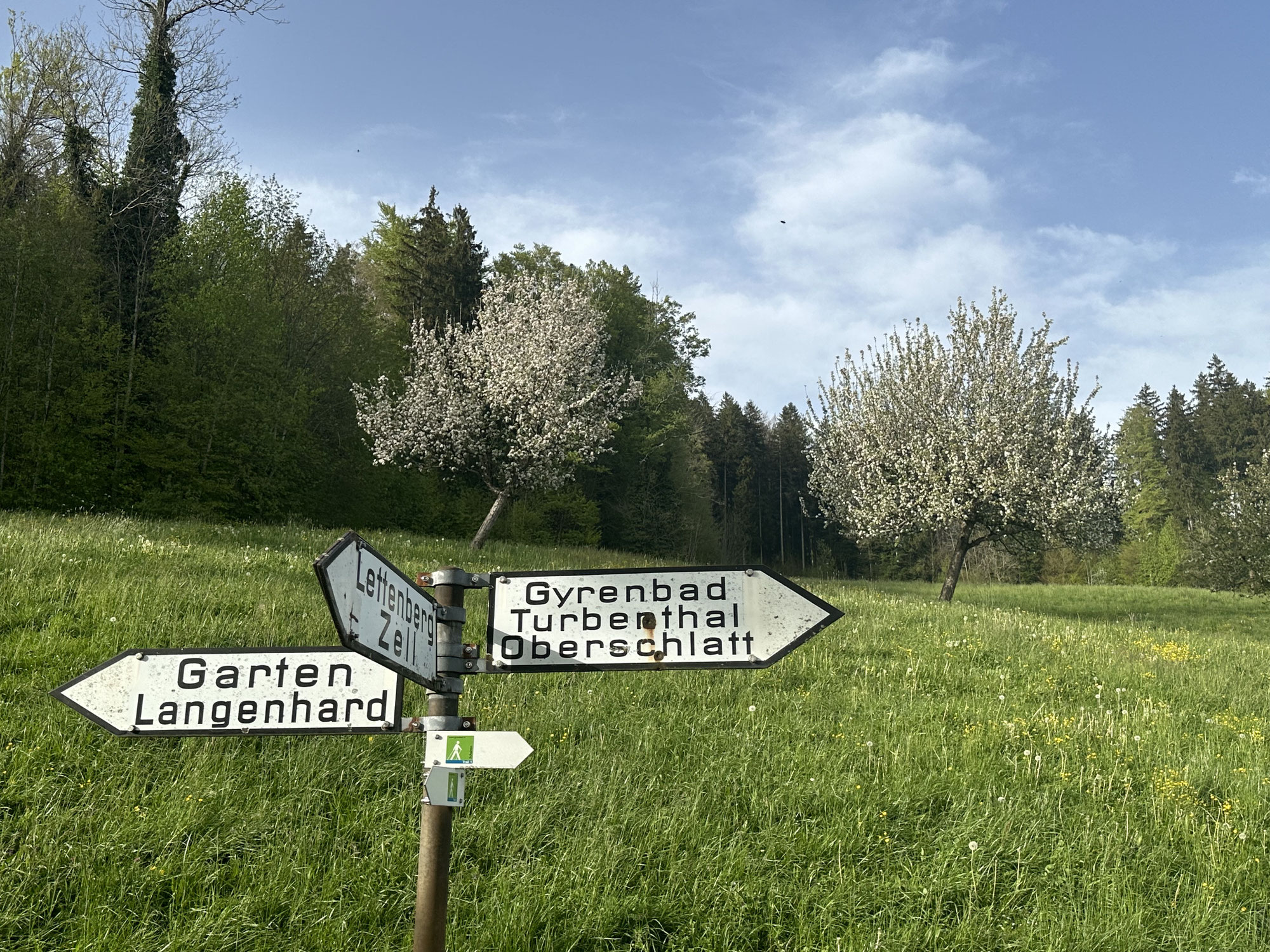 Mit dem Rad nach Hause