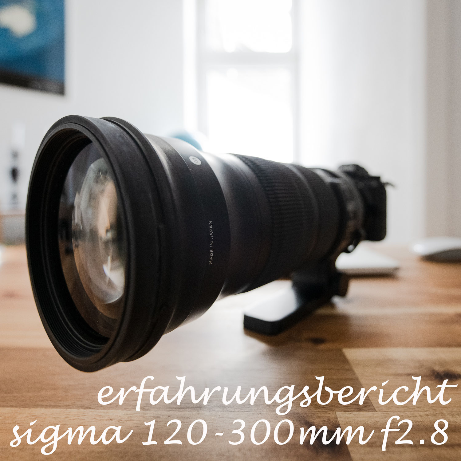 testbericht langzeittest objektiv sigma 120-300 mm F2,8 DG OS HSM | S