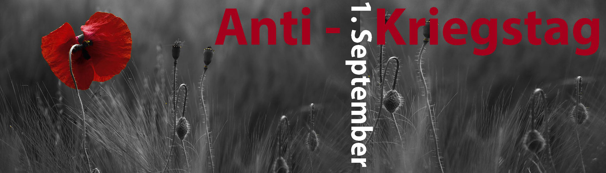 Der 1. September ist Antikriegstag – brauchen wir den noch?