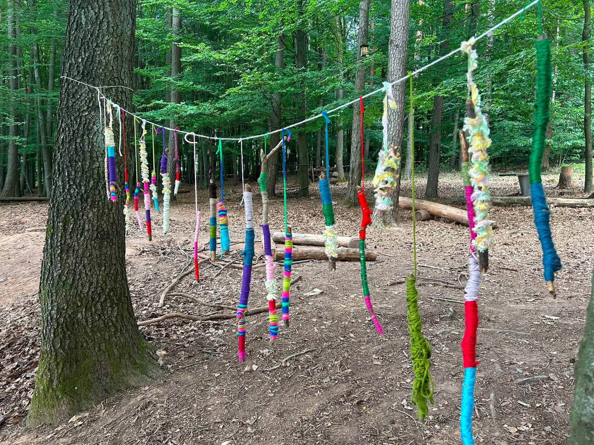 Waldwoche - Tag 2