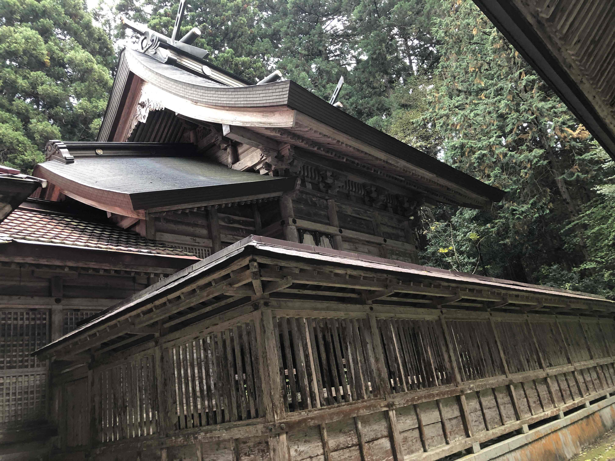 樂樂福神社