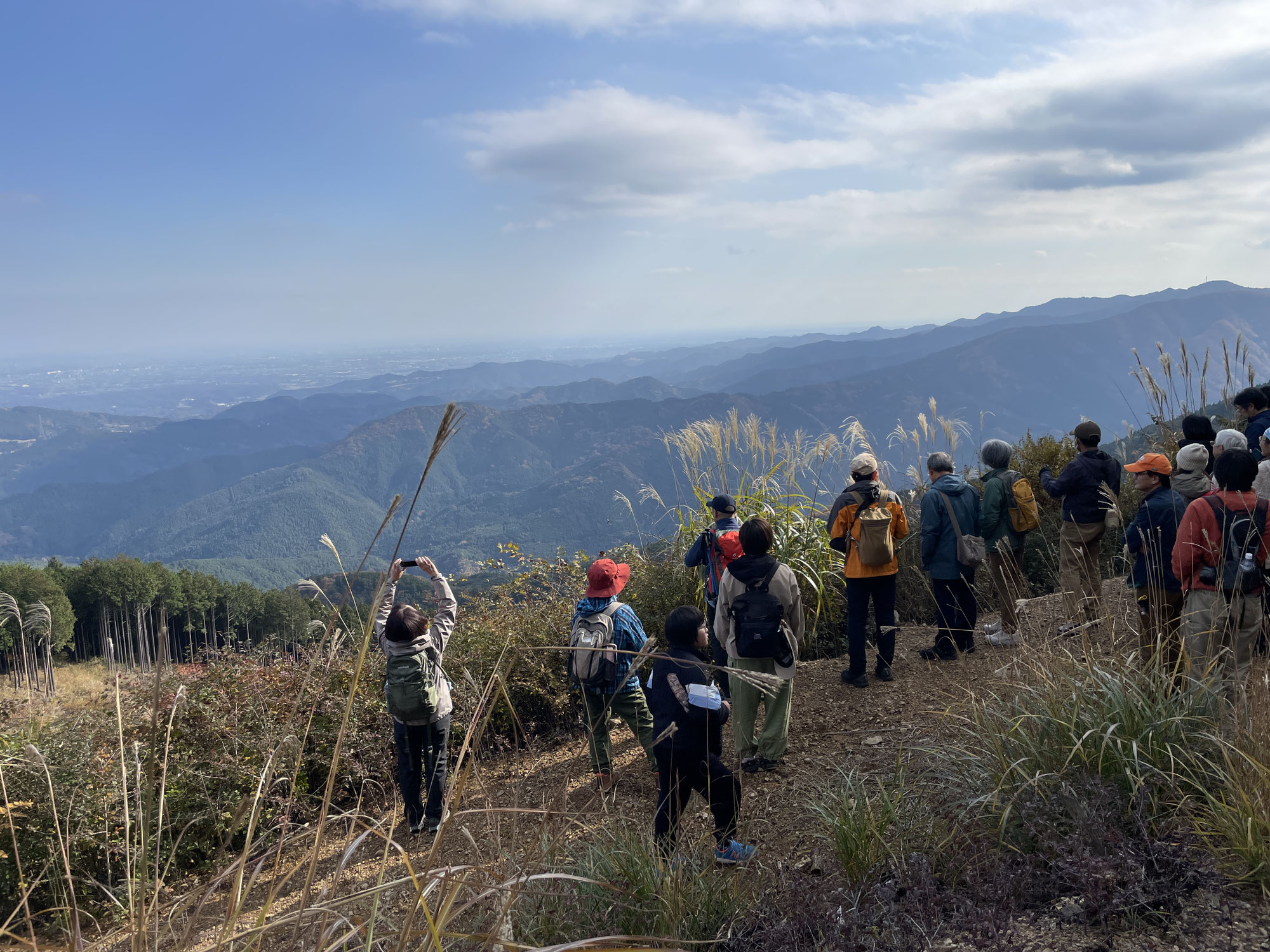 秋の林業ハイキング
