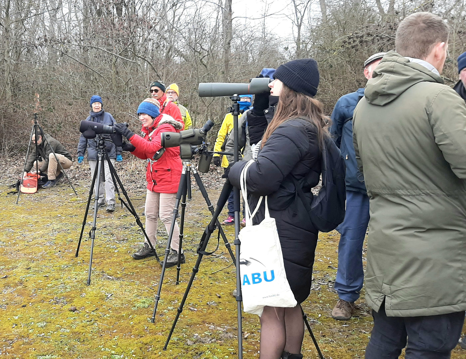 Vogel-Exkursion zu den Wintergästen am Zülpicher See
