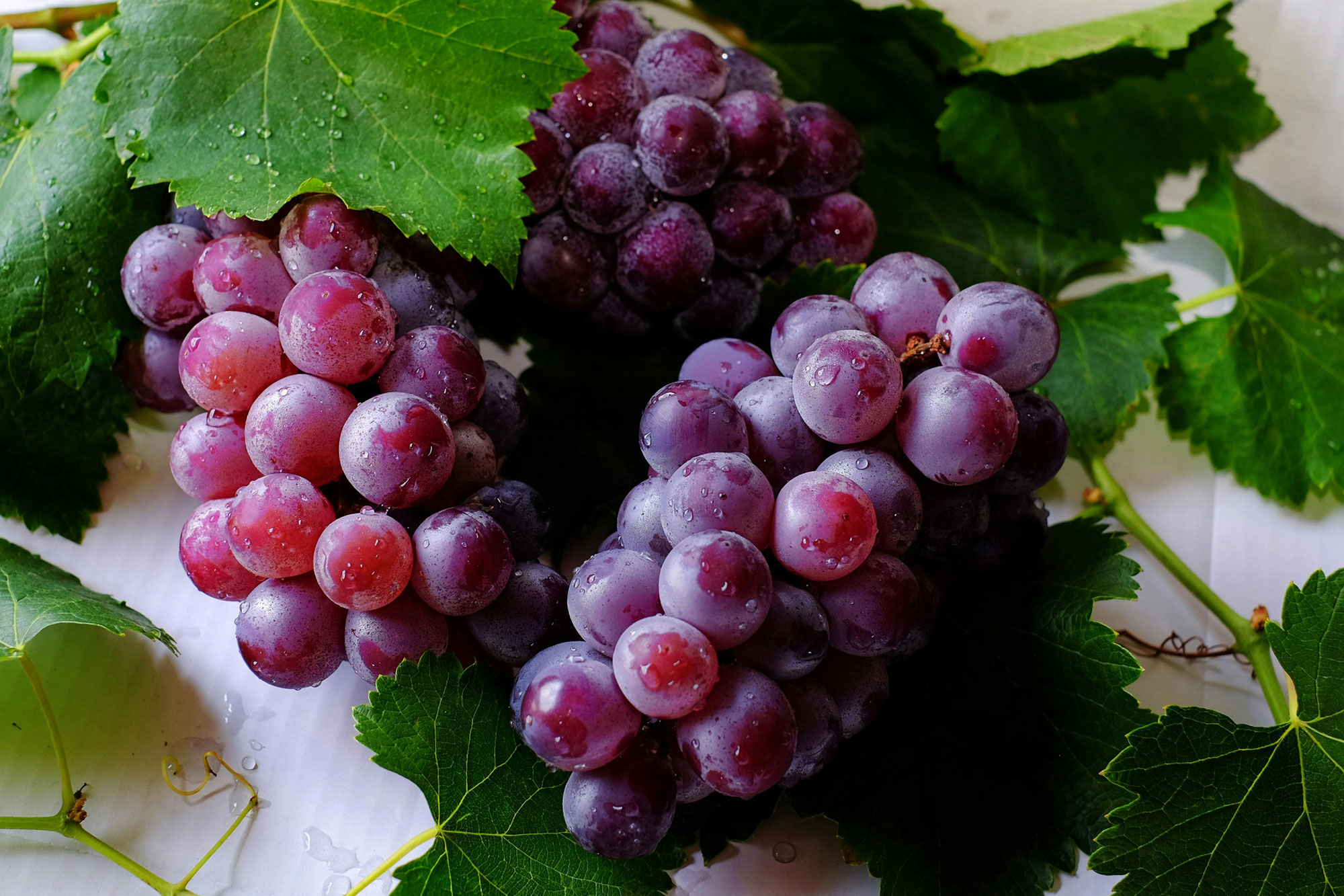 Pranische Ernährung – Nahrung für Körper, Geist und Seele