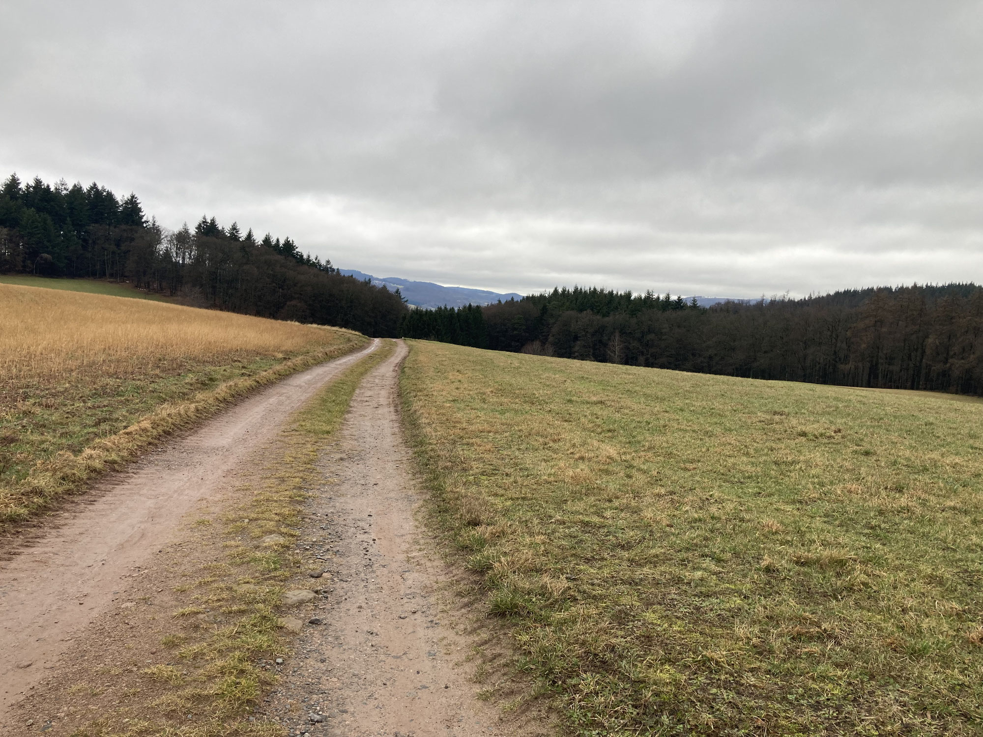 Rund um den Wagenberg - auf der Suche nach bestem Bauernbrot aus dem Steinbackofen