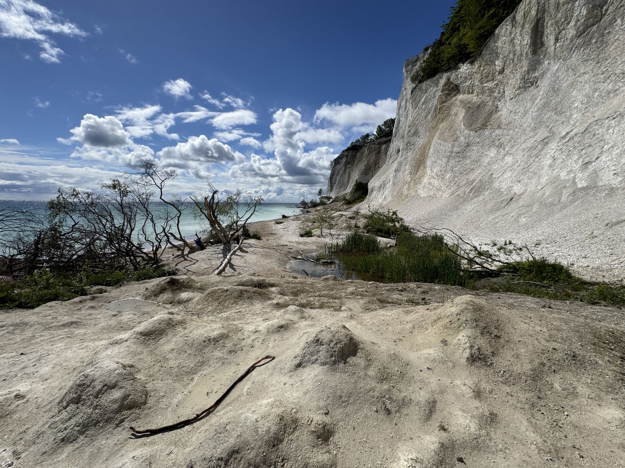 7. Etappe | Tag 14: Karibik des Nordens – Die weißen Riesen von Møns Klint
