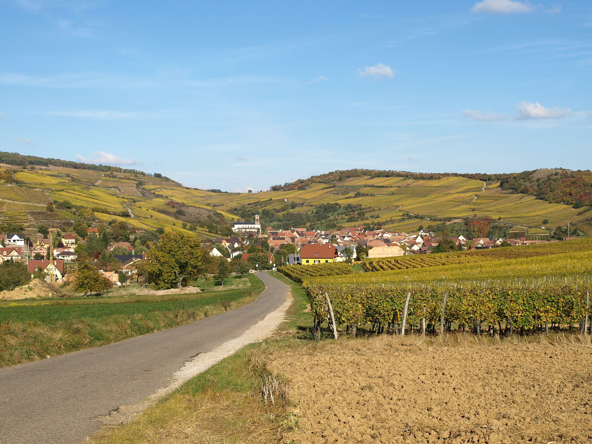 Westhalten