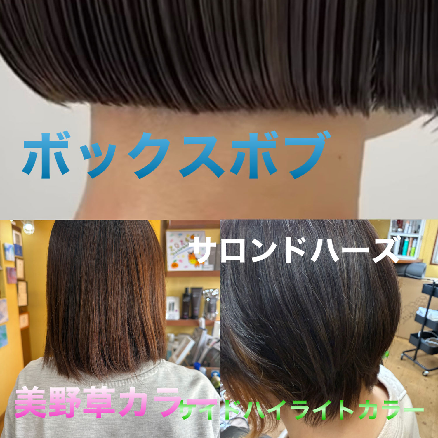 春のフレッシュなご提案してます。