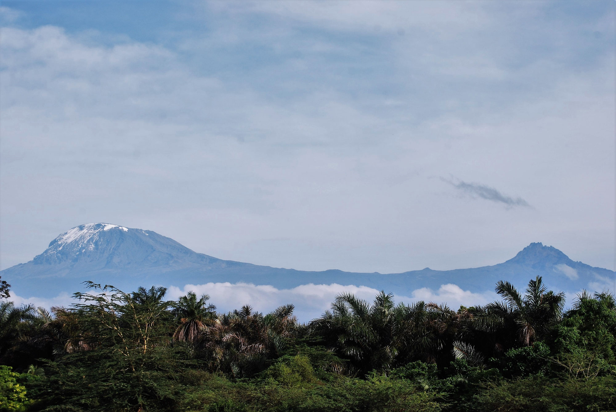 Tipps für eine erfolgreiche Kilimanjaro Besteigung