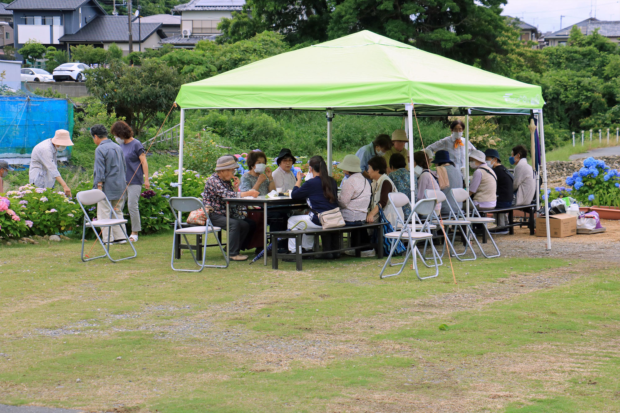 ６月10日　紫陽花お花見会