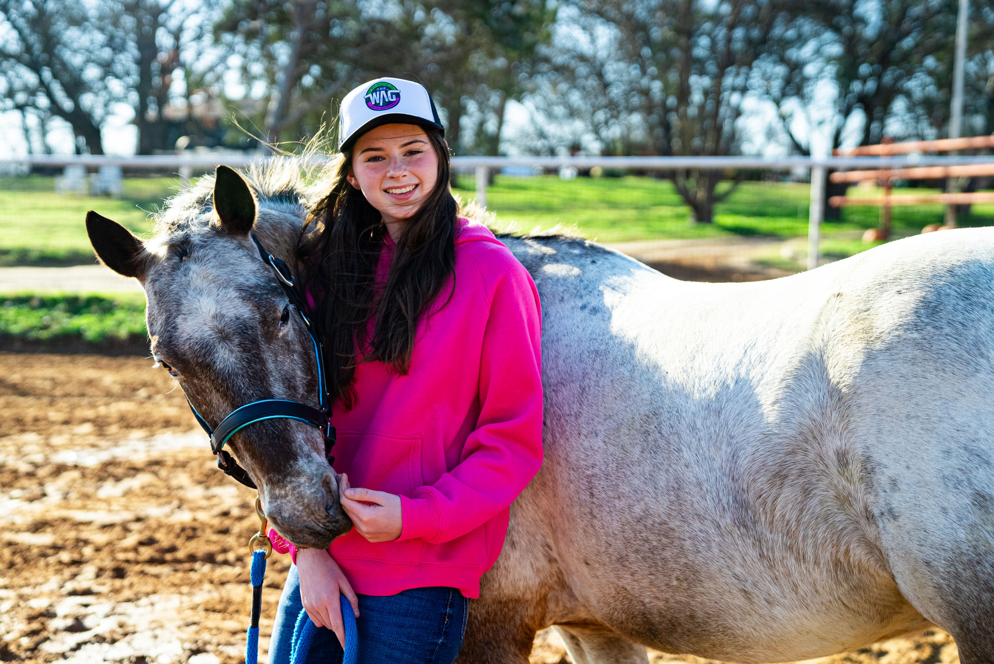 Online Horse Course for Kids