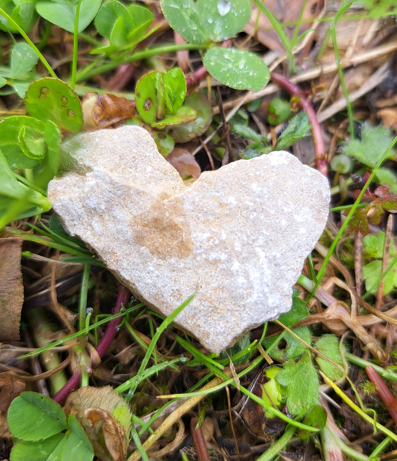 Gesehen werden