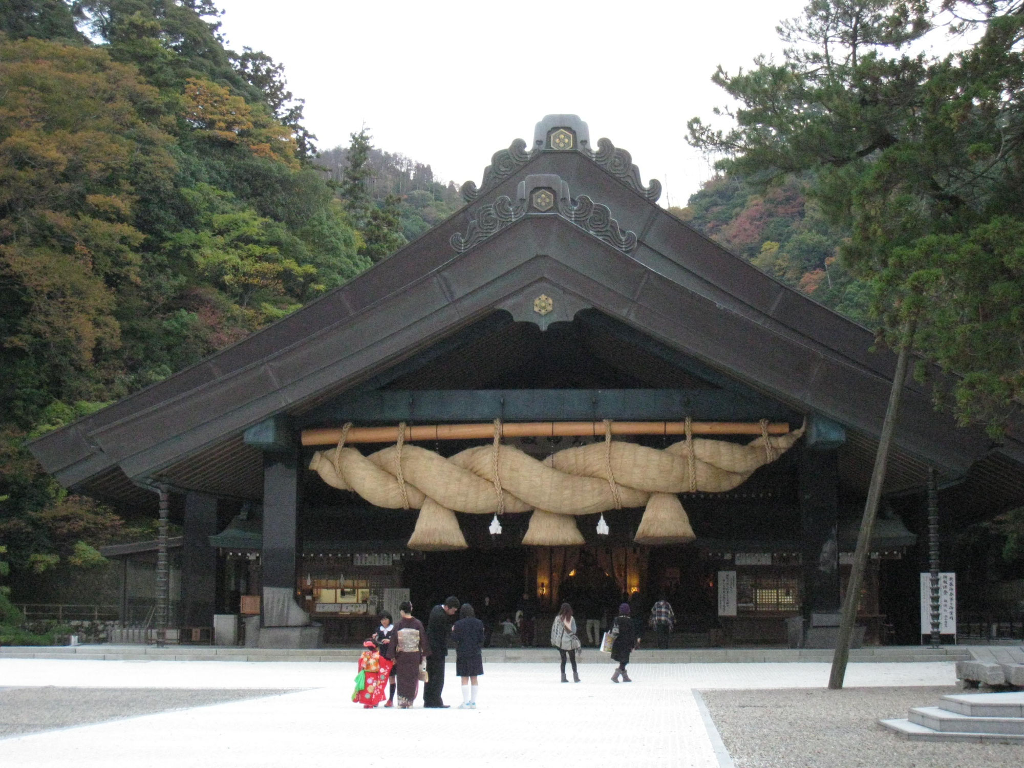 夜見る夢と東洋医学