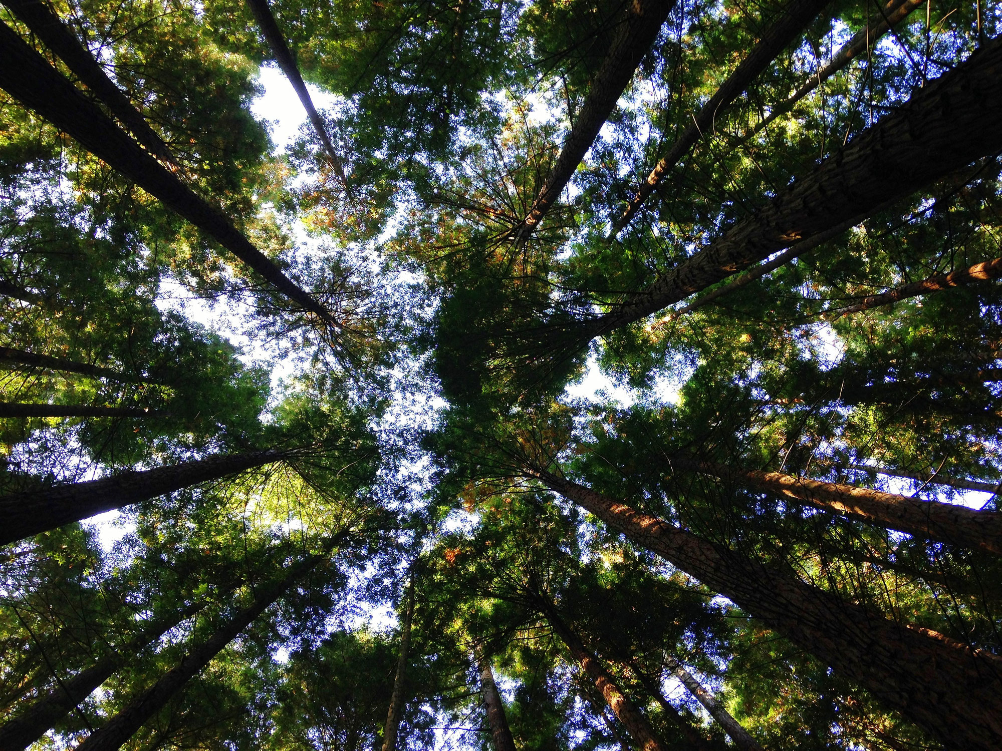 Biodiversität funktioniert nur mit Land- und Forstwirten nicht gegen sie!