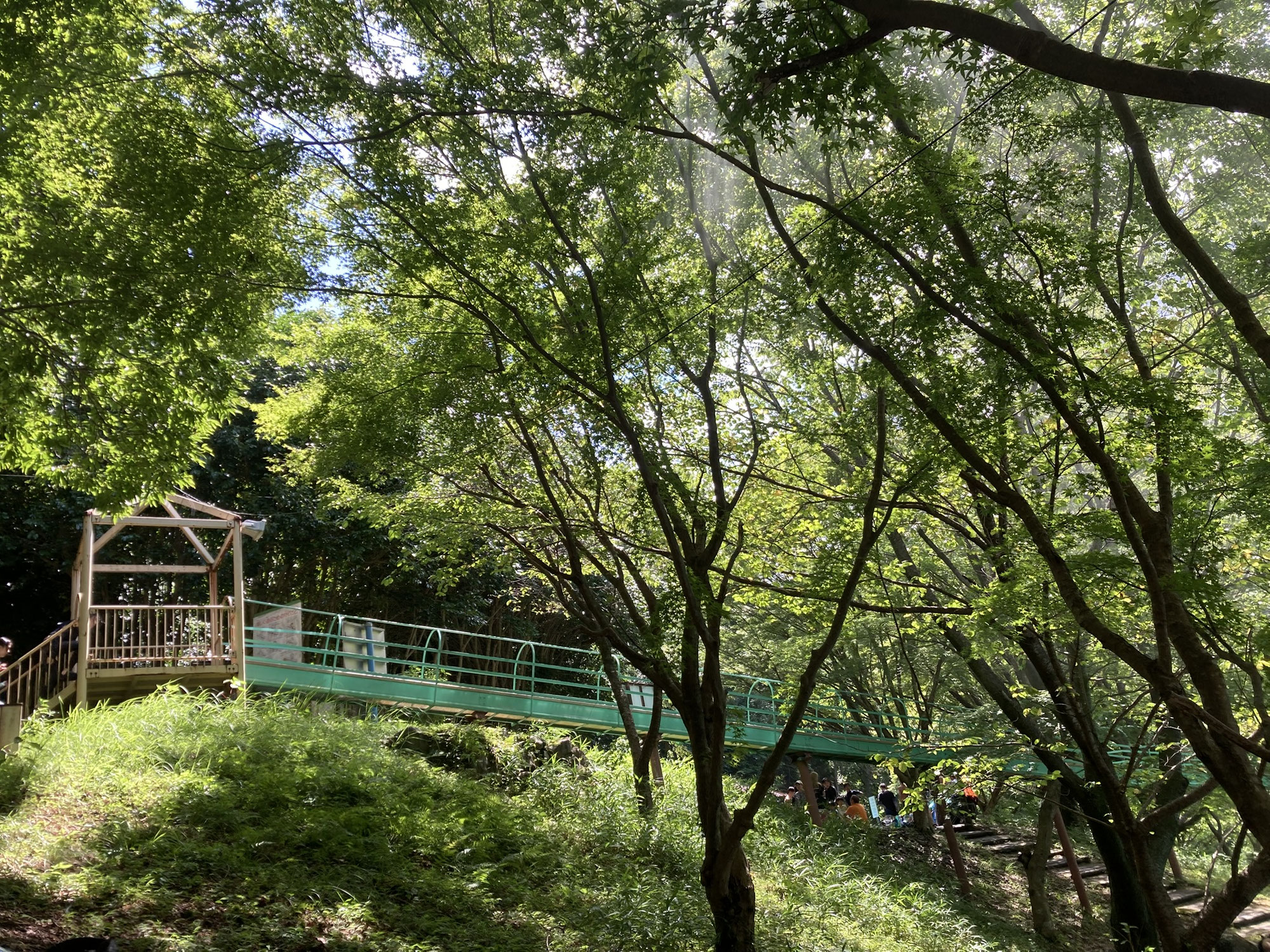 熊本県マザーネイチャーきらりさんへお出かけ