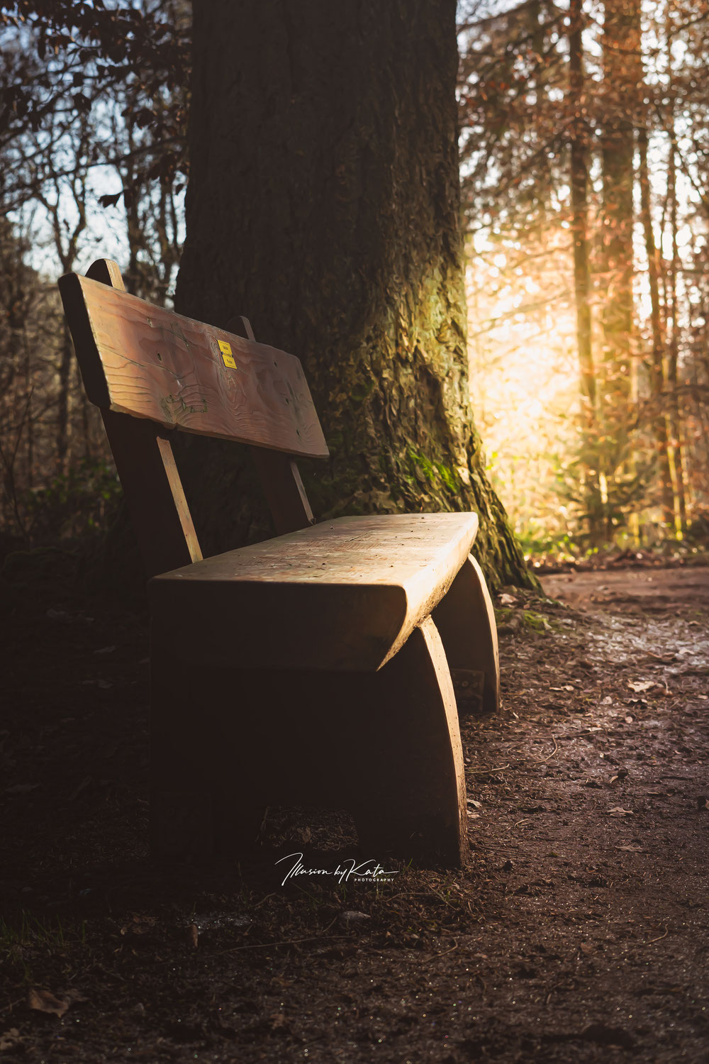 February Mindset Shift: How Nature Helps Us Set the Right Intentions