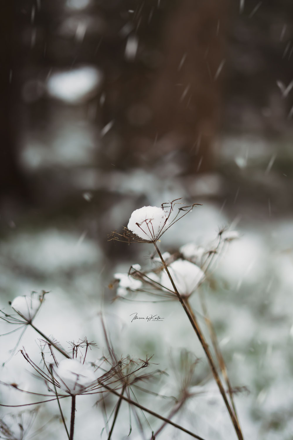 Grounding Through the Lens