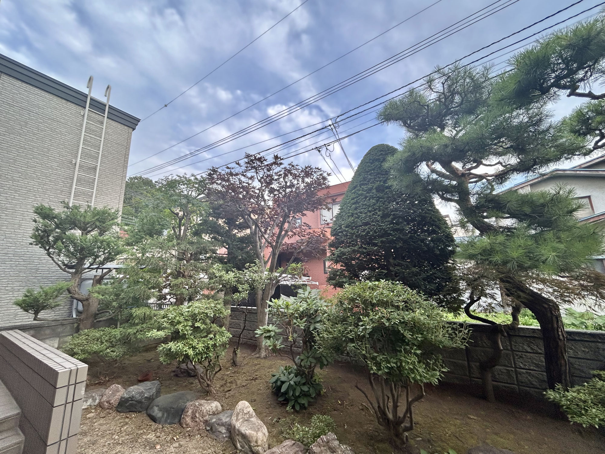 庭木すべての剪定